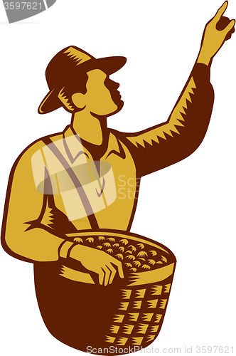 Image of Fruit Picker Worker Pointing Woodcut