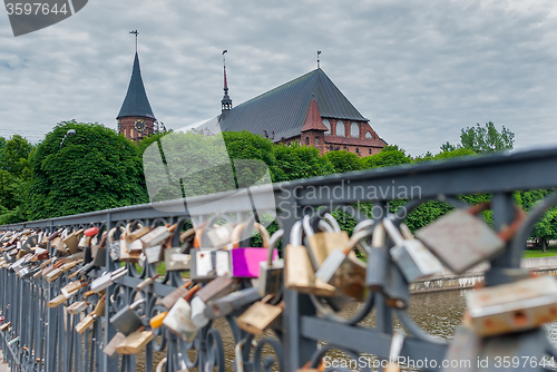 Image of Locks of love Medovy Bridge. Kaliningrad. Russia
