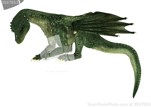 Image of Fantasy Dragon