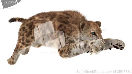 Image of Big Cat Sabertooth