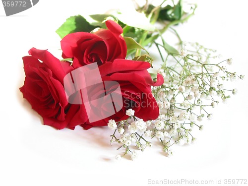 Image of Rose bouquet on white