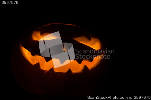Image of Halloween pumpkin on black