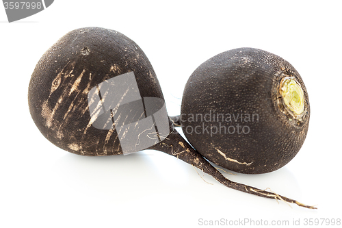 Image of Black radish close-up.