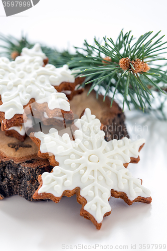 Image of Christmas ginger biscuits.