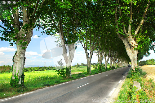 Image of French country road