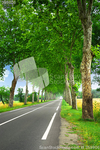 Image of French country road