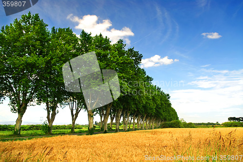 Image of French country road