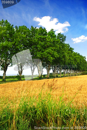 Image of French country road