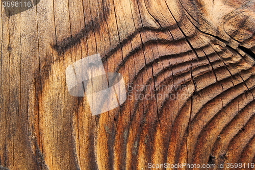 Image of beautiful natural pattern on spruce plank