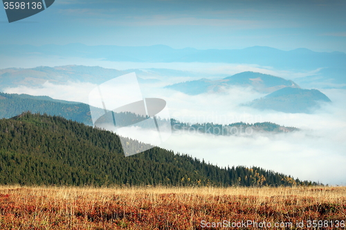 Image of foggy morning in Giumalau mountains