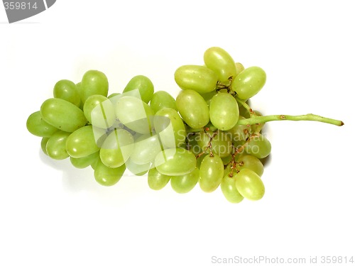 Image of Green grapes bunch