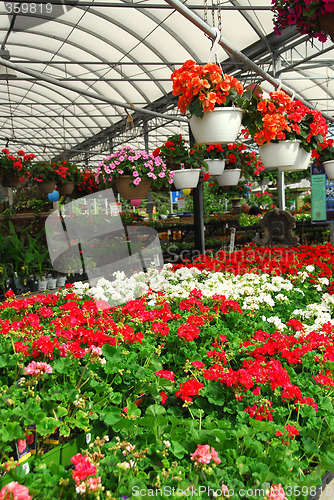 Image of Greenhouse