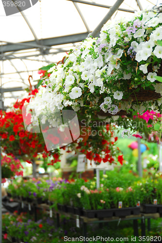 Image of Greenhouse