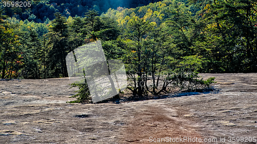 Image of stone mountain north carolina scenery during autumn season