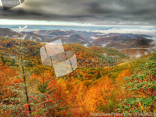 Image of autumn drive on blue ridge parkway