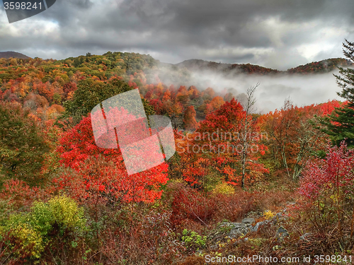 Image of autumn drive on blue ridge parkway