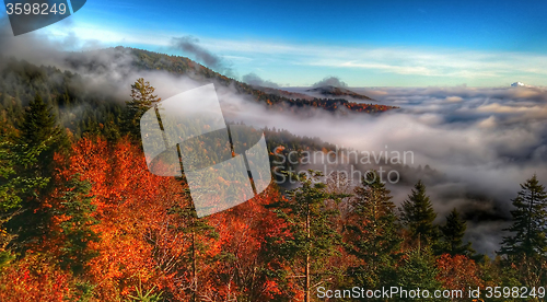 Image of autumn drive on blue ridge parkway