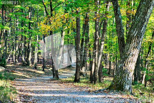 Image of stone mountain north carolina scenery during autumn season