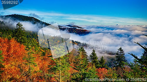 Image of autumng season in the smoky mountains