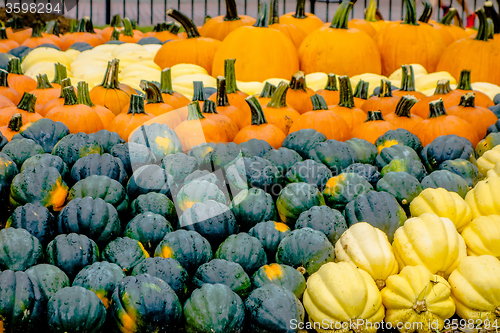 Image of pumpkin and harvest decorations for the holidays