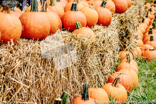Image of pumpkin and harvest decorations for the holidays