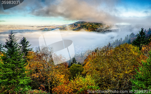 Image of autumng season in the smoky mountains