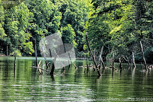 Image of lake santeetlah scenery in great smoky mountains