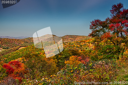 Image of driving through  blue ridge mountains national park 