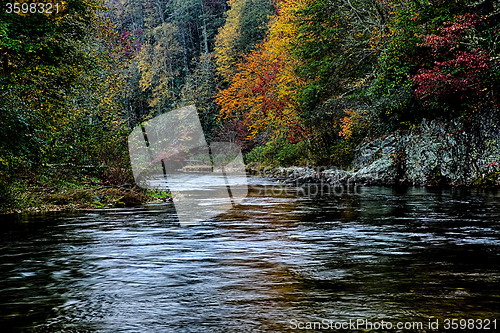 Image of autumng season in the smoky mountains