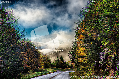 Image of autumng season in the smoky mountains