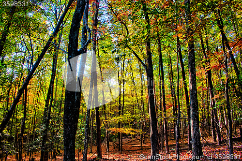 Image of stone mountain north carolina scenery during autumn season