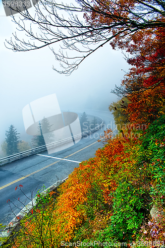 Image of autumng season in the smoky mountains