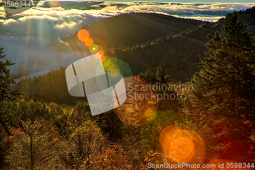 Image of autumng season in the smoky mountains