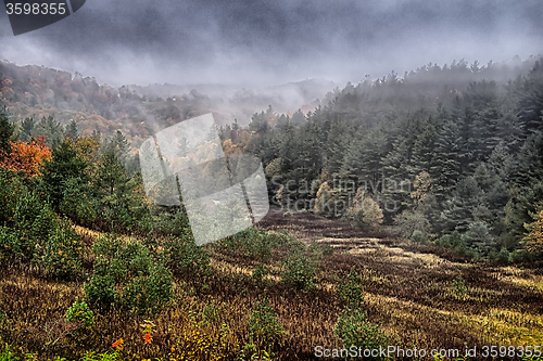 Image of autumng season in the smoky mountains