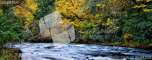 Image of autumng season in the smoky mountains