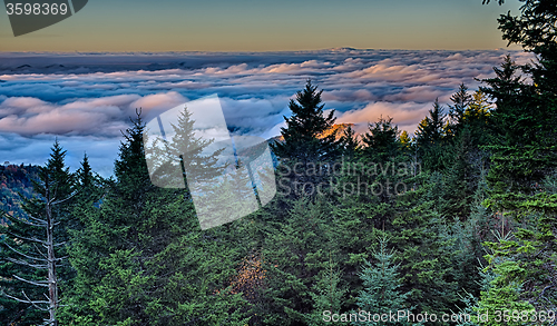 Image of autumng season in the smoky mountains