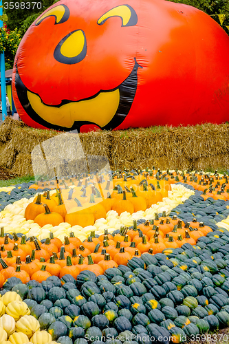 Image of pumpkin and harvest decorations for the holidays