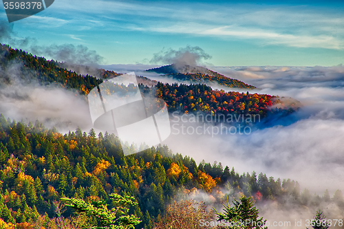 Image of autumng season in the smoky mountains