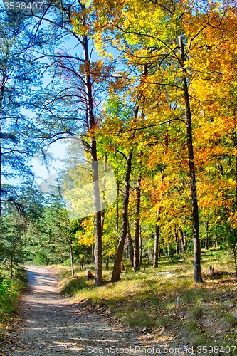 Image of stone mountain north carolina scenery during autumn season