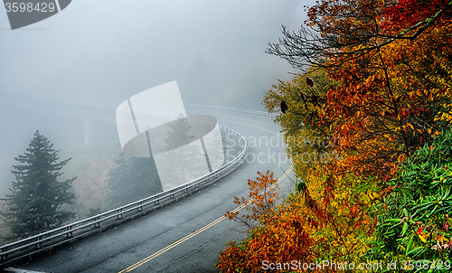 Image of autumng season in the smoky mountains