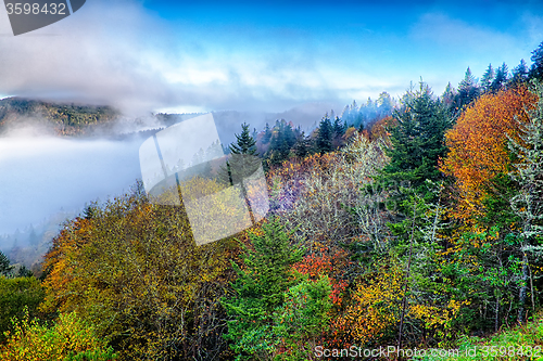 Image of autumng season in the smoky mountains