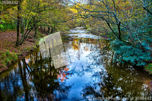 Image of stone mountain north carolina scenery during autumn season