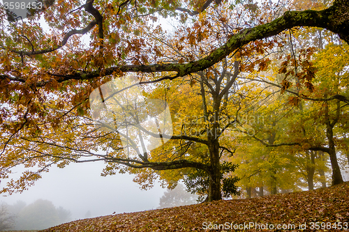 Image of driving through  blue ridge mountains national park 