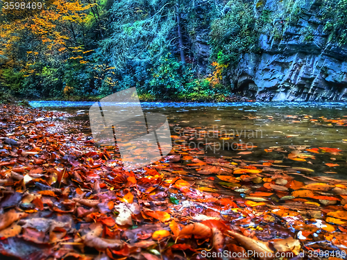 Image of autumn drive on blue ridge parkway