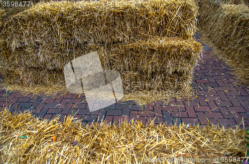Image of Maze for either people or livestock to navigate made from straw 