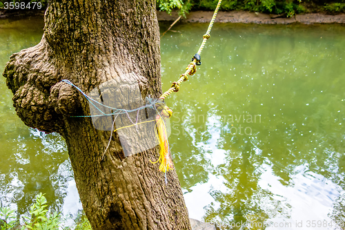 Image of swing jump rope for jumping into river