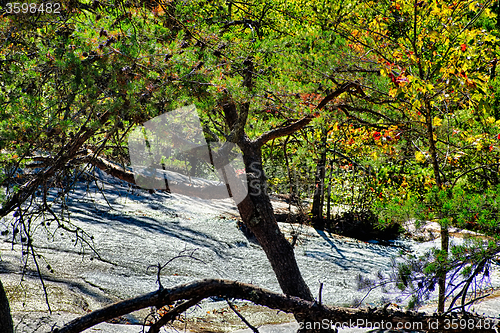 Image of stone mountain north carolina scenery during autumn season