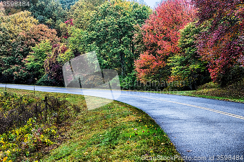 Image of autumng season in the smoky mountains