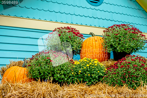 Image of pumpkin and harvest decorations for the holidays