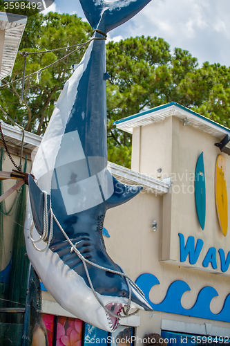 Image of giant fake plastic shark hanging by the store entrance